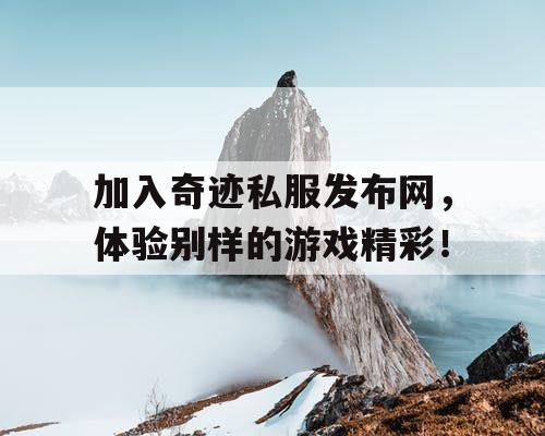 加入奇迹私服发布网，体验别样的游戏精彩！