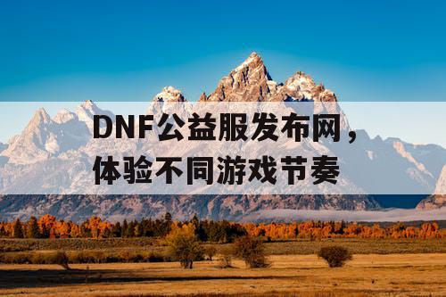 DNF公益服发布网，体验不同游戏节奏