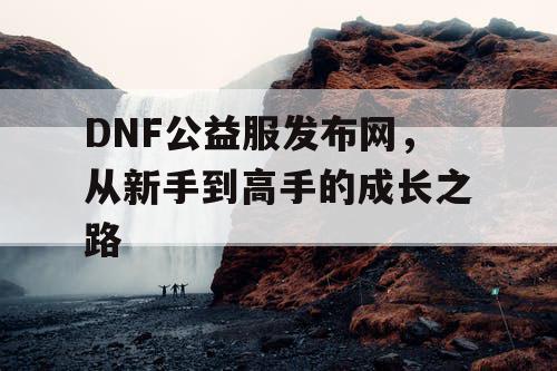 DNF公益服发布网，从新手到高手的成长之路