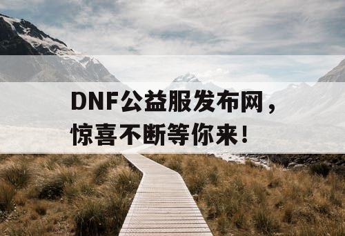 DNF公益服发布网，惊喜不断等你来！