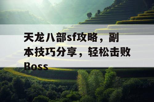 天龙八部sf攻略，副本技巧分享，轻松击败Boss