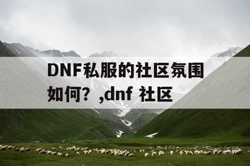 DNF私服的社区氛围如何？,dnf 社区