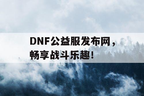 DNF公益服发布网，畅享战斗乐趣！