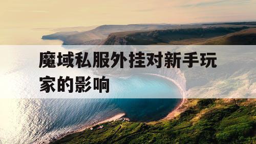 魔域私服外挂对新手玩家的影响