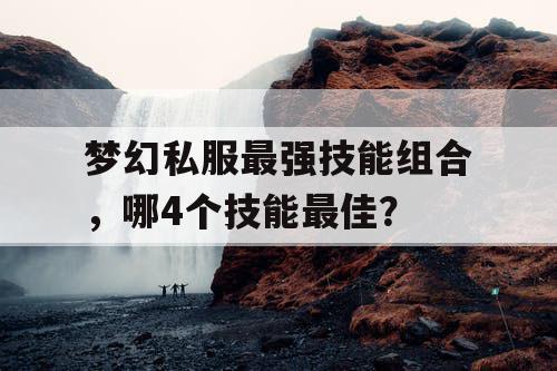 梦幻私服最强技能组合，哪4个技能最佳？