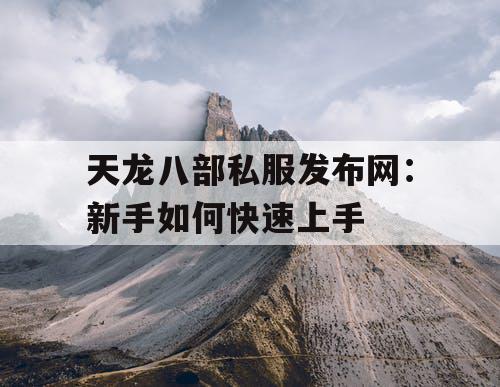 天龙八部私服发布网：新手如何快速上手