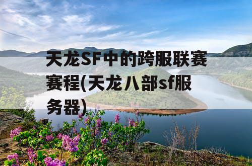 天龙SF中的跨服联赛赛程(天龙八部sf服务器)