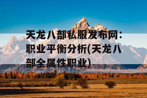 天龙八部私服发布网：职业平衡分析(天龙八部全属性职业)