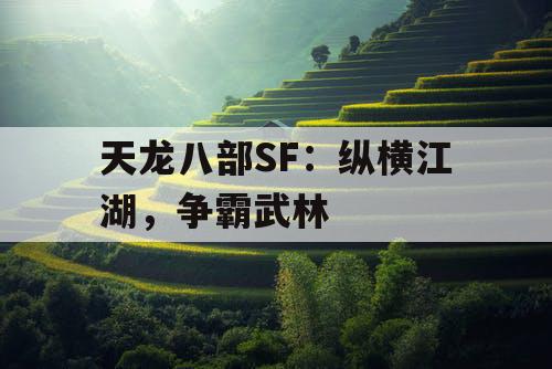 天龙八部SF：纵横江湖，争霸武林