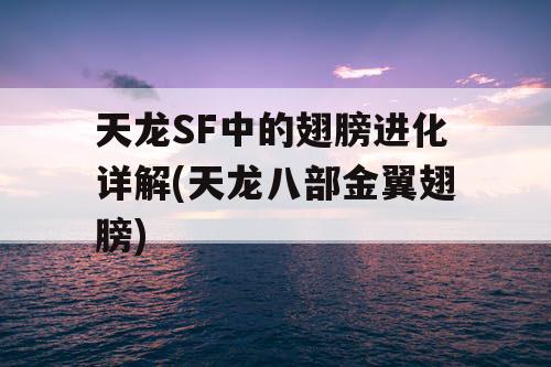 天龙SF中的翅膀进化详解(天龙八部金翼翅膀)