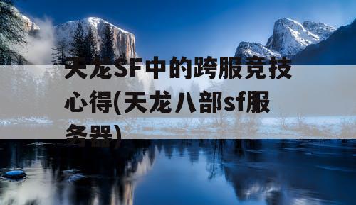 天龙SF中的跨服竞技心得(天龙八部sf服务器)