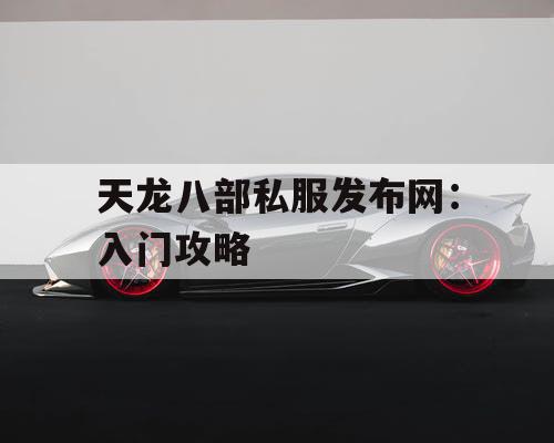 天龙八部私服发布网：入门攻略