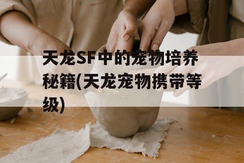 天龙SF中的宠物培养秘籍(天龙宠物携带等级)