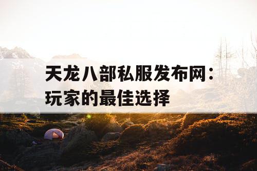 天龙八部私服发布网：玩家的最佳选择