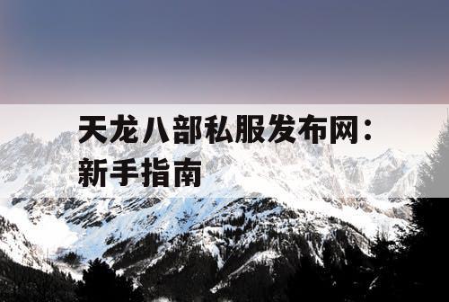天龙八部私服发布网：新手指南