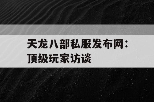 天龙八部私服发布网：顶级玩家访谈