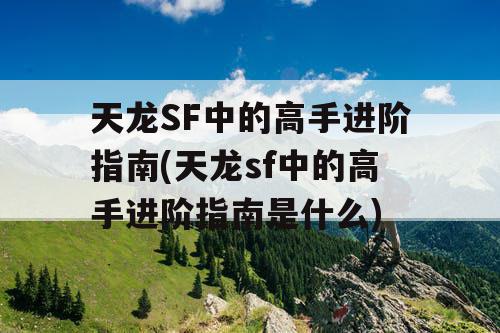 天龙SF中的高手进阶指南(天龙sf中的高手进阶指南是什么)