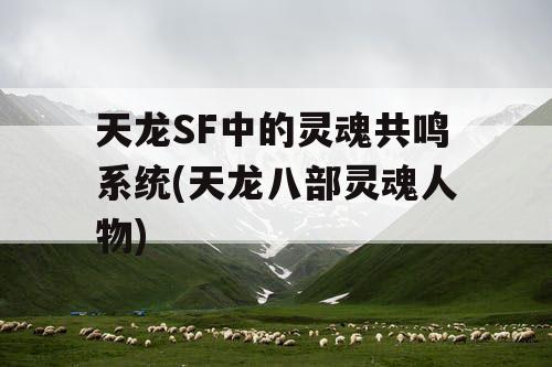 天龙SF中的灵魂共鸣系统(天龙八部灵魂人物)