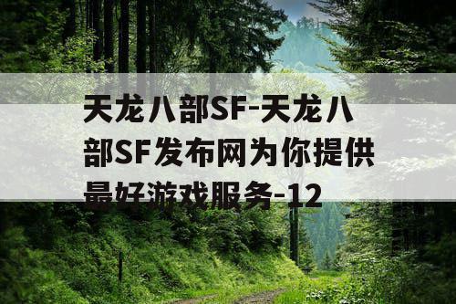 天龙八部SF-天龙八部SF发布网为你提供最好游戏服务-12