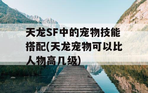 天龙SF中的宠物技能搭配(天龙宠物可以比人物高几级)