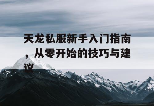 天龙私服新手入门指南,从零开始的技巧与建议 天龙私服新手入门指南,从零开始的技巧与建议