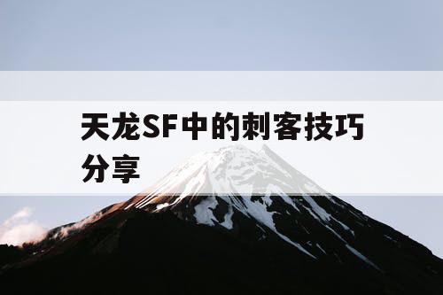 天龙SF中的刺客技巧分享 天龙SF中的刺客技巧分享