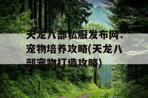 天龙八部私服发布网:宠物培养攻略(天龙八部宠物打造攻略) 天龙八部私服发布网:宠物培养攻略(天龙八部宠物打造攻略)