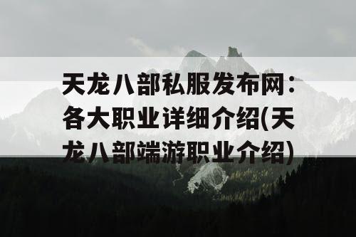 天龙八部私服发布网：各大职业详细介绍(天龙八部端游职业介绍)