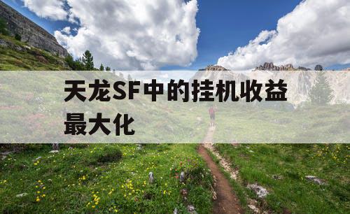 天龙SF中的挂机收益最大化