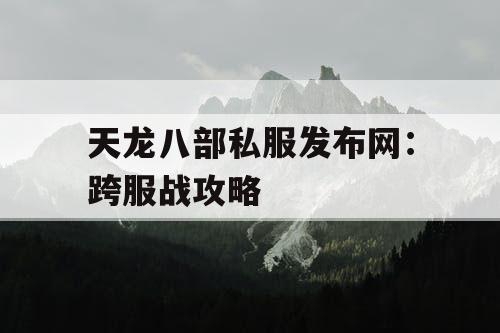 天龙八部私服发布网：跨服战攻略