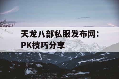 天龙八部私服发布网：PK技巧分享