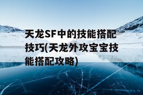 天龙SF中的技能搭配技巧(天龙外攻宝宝技能搭配攻略)