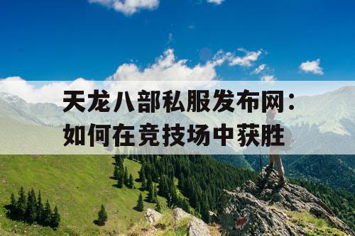 天龙八部私服发布网：如何在竞技场中获胜
