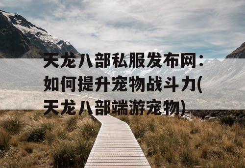 天龙八部私服发布网：如何提升宠物战斗力(天龙八部端游宠物)