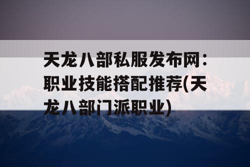 天龙八部私服发布网：职业技能搭配推荐(天龙八部门派职业)