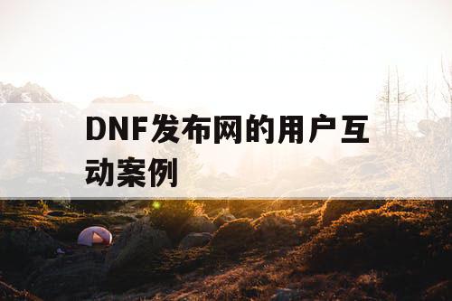 DNF发布网的用户互动案例
