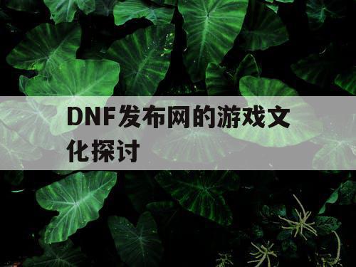 DNF发布网的游戏文化探讨