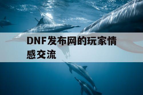 DNF发布网的玩家情感交流