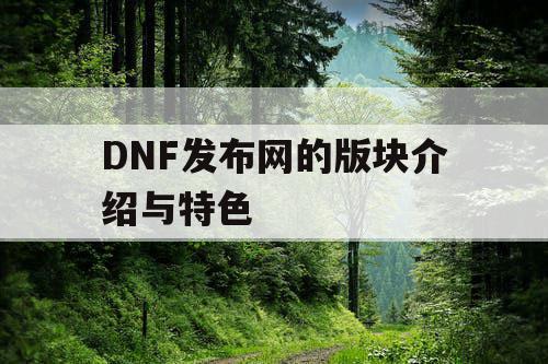 DNF发布网的版块介绍与特色