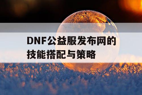 DNF公益服发布网的技能搭配与策略