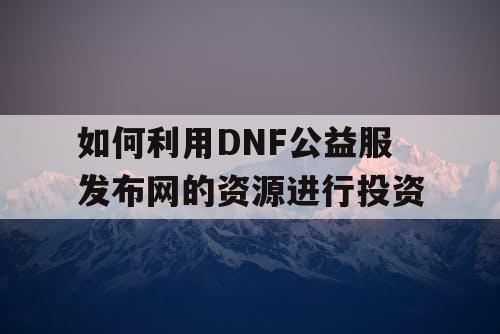 如何利用DNF公益服发布网的资源进行投资