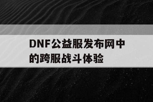 DNF公益服发布网中的跨服战斗体验