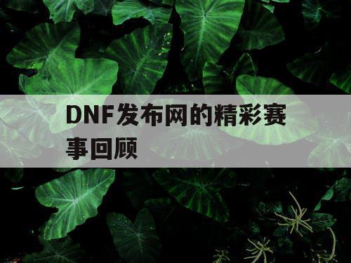 DNF发布网的精彩赛事回顾