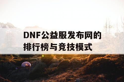 DNF公益服发布网的排行榜与竞技模式 DNF公益服发布网的排行榜与竞技模式