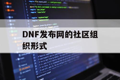 DNF发布网的社区组织形式 DNF发布网的社区组织形式