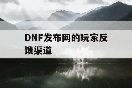 DNF发布网的玩家反馈渠道