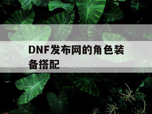 DNF发布网的角色装备搭配 DNF发布网的角色装备搭配