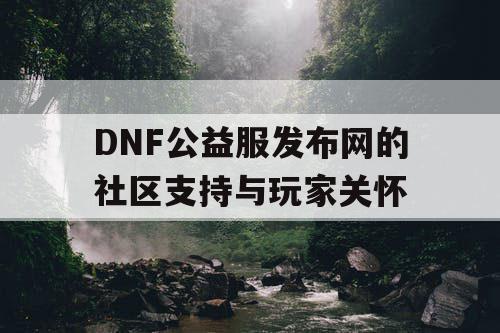 DNF公益服发布网的社区支持与玩家关怀
