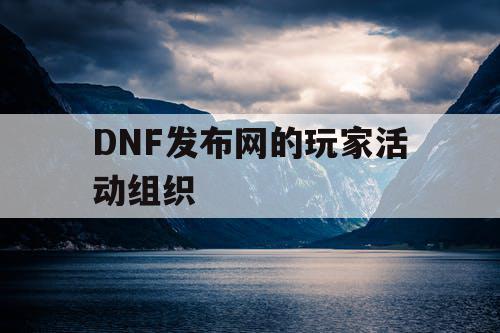 DNF发布网的玩家活动组织