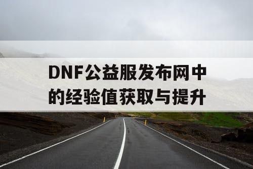 DNF公益服发布网中的经验值获取与提升